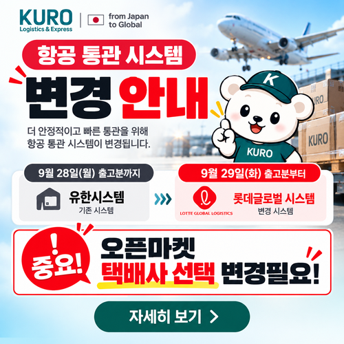 팝업